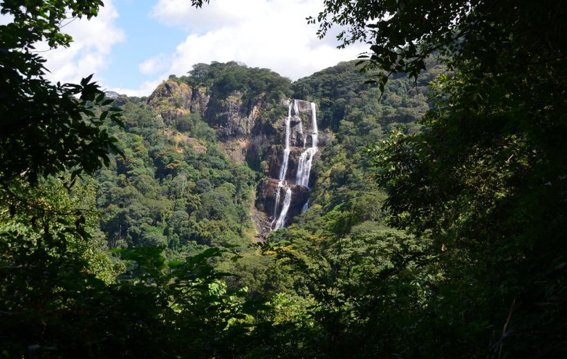 Udzungwa Mountain