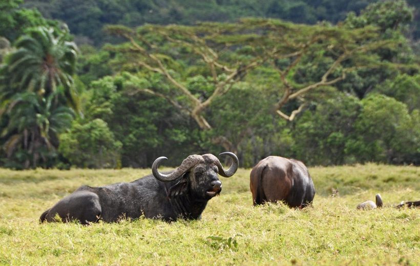 Arusha National Park