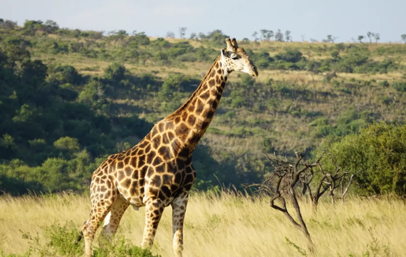 Karagwe National Park