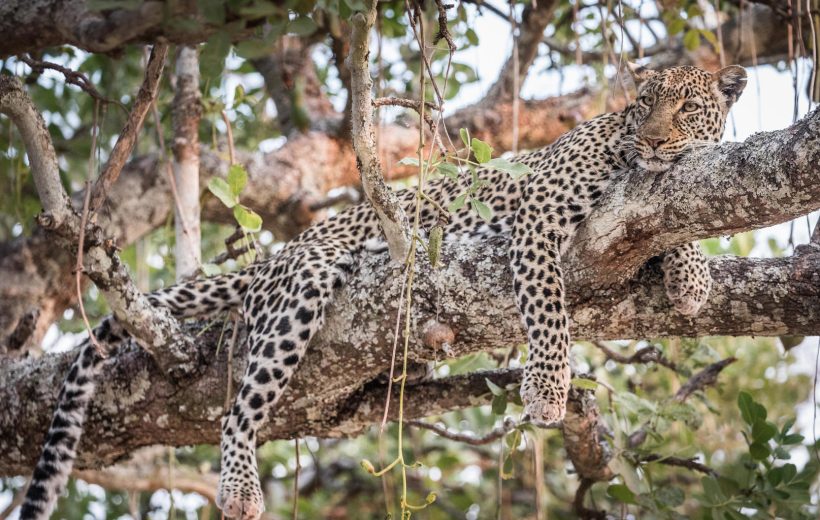 Katavi National Park